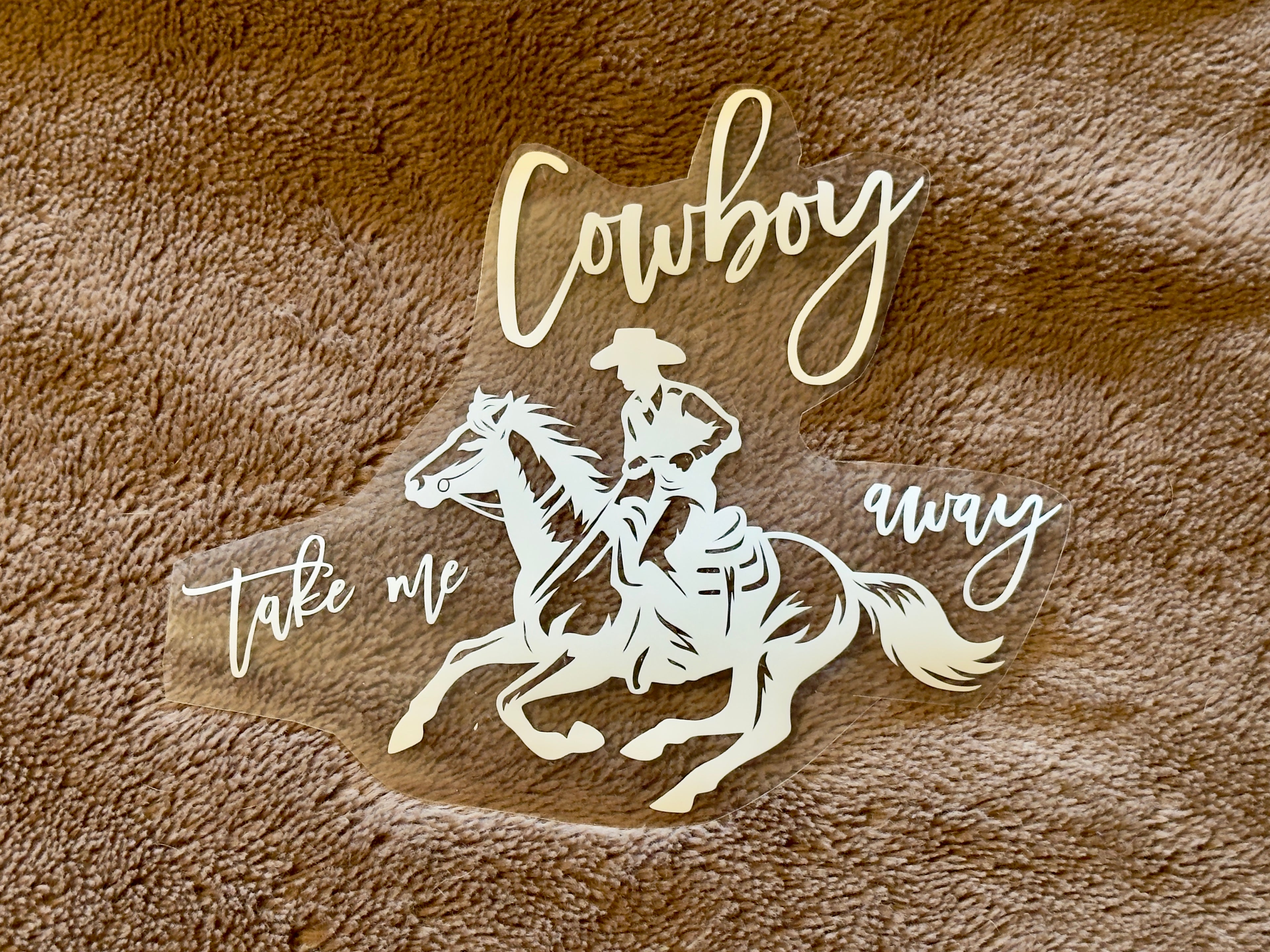 Cowboy Take Me Away