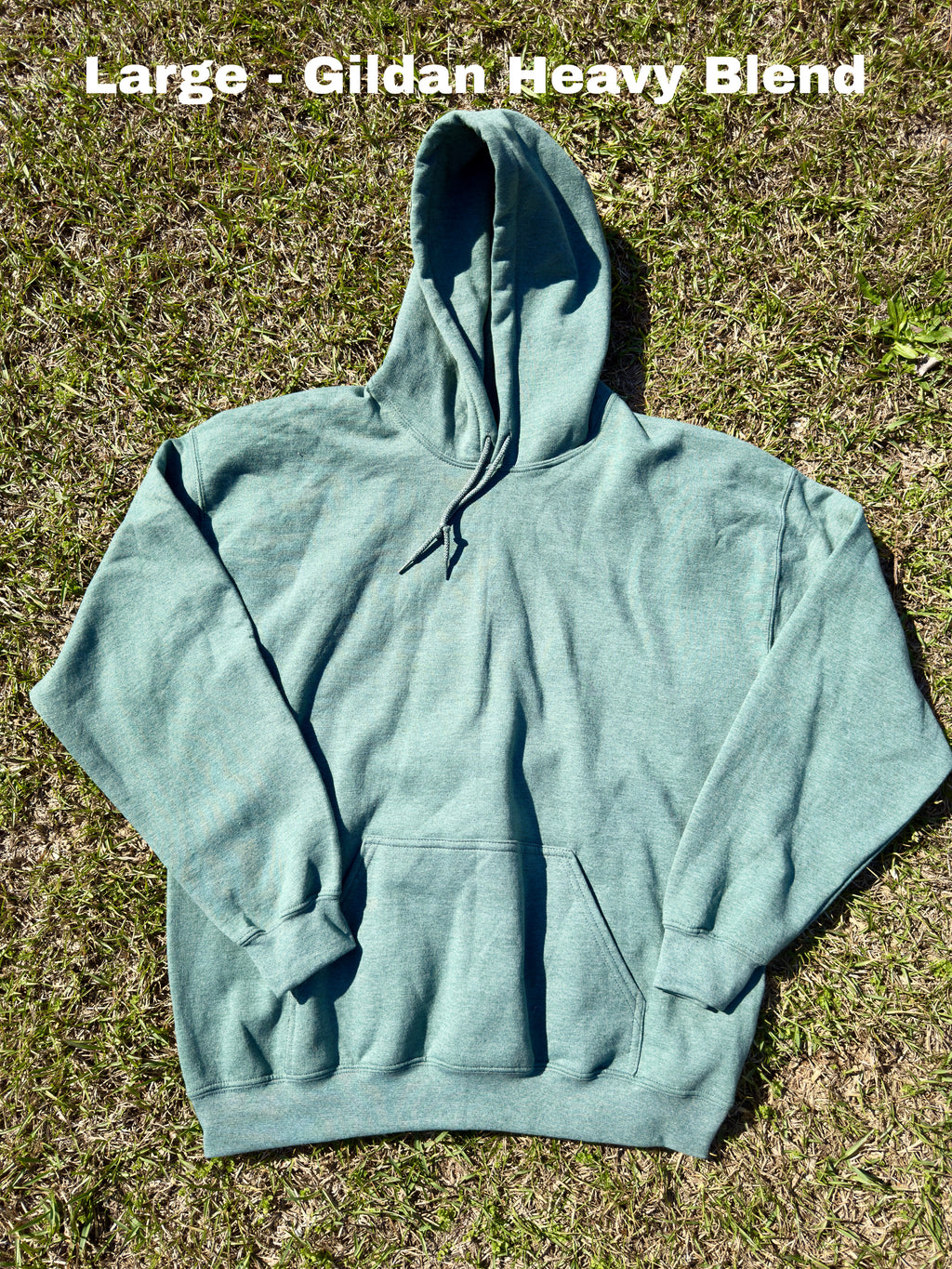 Backyard Chicken Social Club