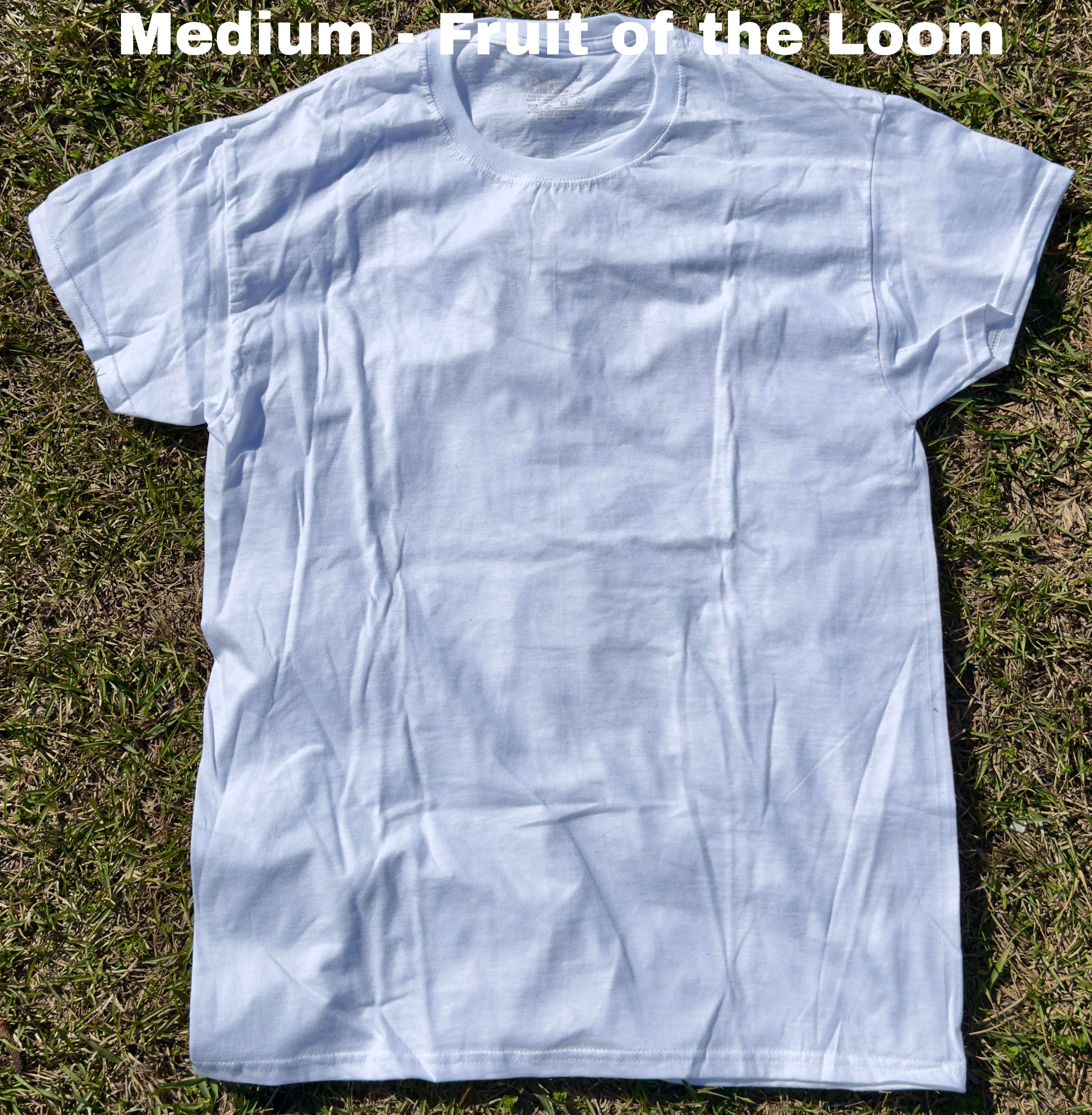 Backyard Chicken Social Club