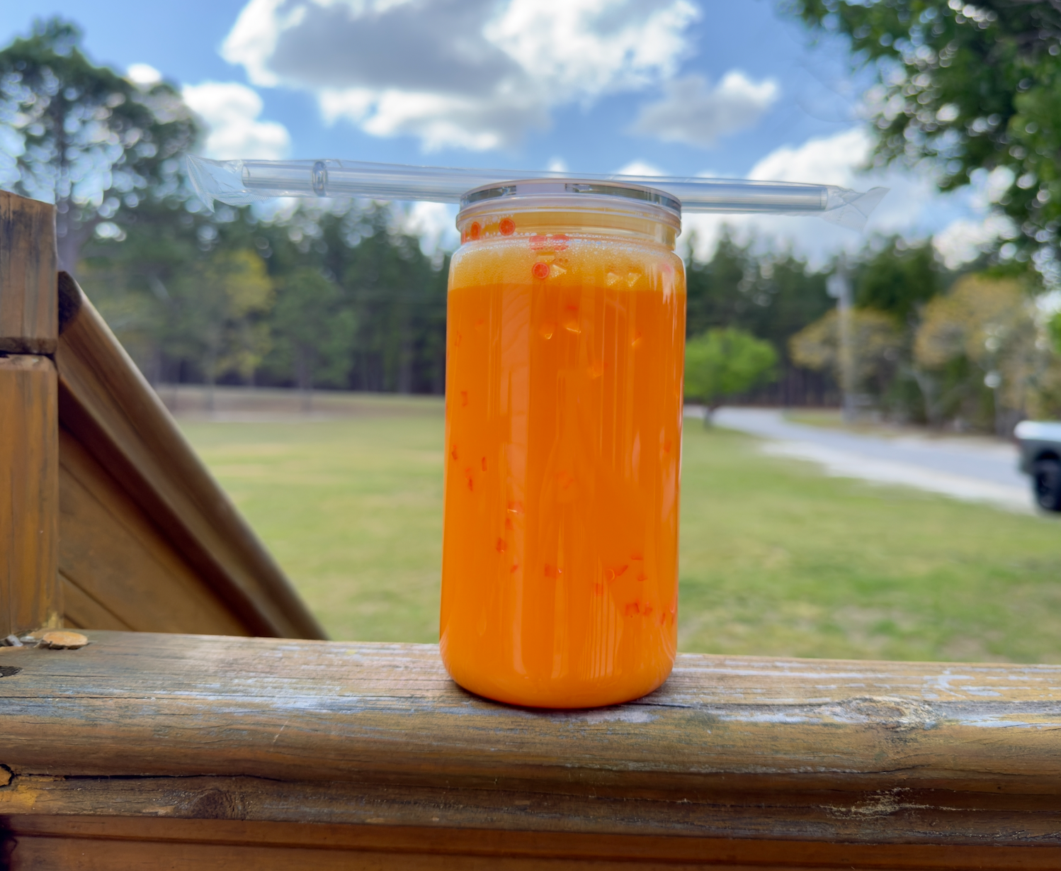 Orange Juice Snowglobe Tumbler
